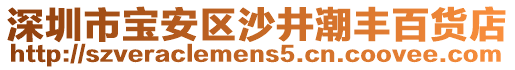 深圳市寶安區(qū)沙井潮豐百貨店