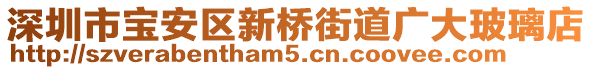 深圳市寶安區新橋街道廣大玻璃店