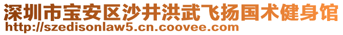 深圳市寶安區沙井洪武飛揚國術健身館
