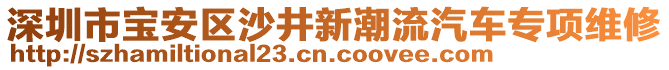 深圳市寶安區(qū)沙井新潮流汽車專項(xiàng)維修