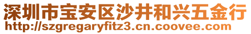 深圳市寶安區沙井和興五金行