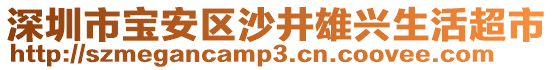 深圳市寶安區(qū)沙井雄興生活超市