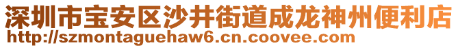 深圳市寶安區(qū)沙井街道成龍神州便利店