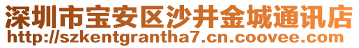 深圳市寶安區(qū)沙井金城通訊店