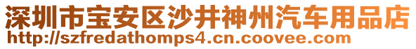 深圳市寶安區(qū)沙井神州汽車(chē)用品店