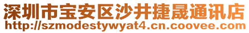 深圳市寶安區(qū)沙井捷晟通訊店