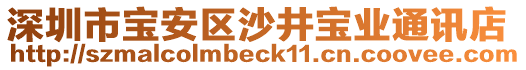 深圳市寶安區沙井寶業通訊店