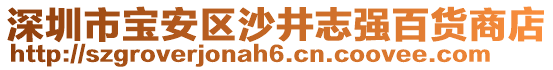 深圳市寶安區(qū)沙井志強百貨商店