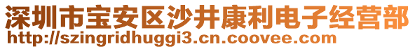 深圳市寶安區沙井康利電子經營部