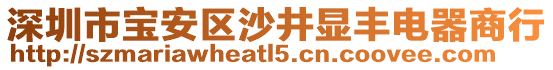 深圳市寶安區(qū)沙井顯豐電器商行