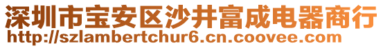 深圳市寶安區(qū)沙井富成電器商行