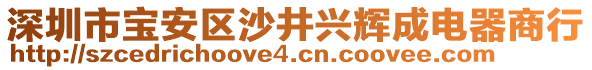 深圳市寶安區(qū)沙井興輝成電器商行