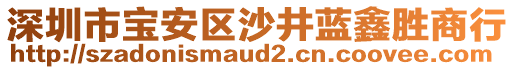 深圳市寶安區沙井藍鑫勝商行