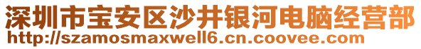 深圳市寶安區(qū)沙井銀河電腦經(jīng)營(yíng)部