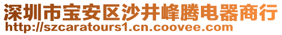 深圳市寶安區(qū)沙井峰騰電器商行