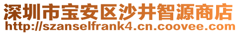 深圳市寶安區沙井智源商店