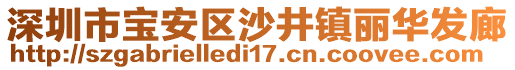 深圳市寶安區沙井鎮麗華發廊