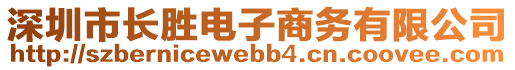 深圳市長勝電子商務(wù)有限公司