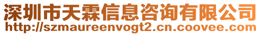 深圳市天霖信息咨詢有限公司