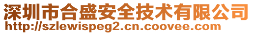 深圳市合盛安全技術有限公司