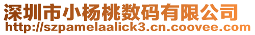 深圳市小楊桃數碼有限公司