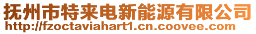 撫州市特來電新能源有限公司