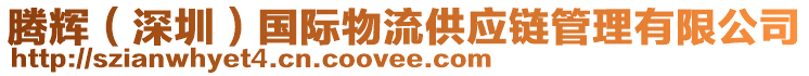 騰輝（深圳）國(guó)際物流供應(yīng)鏈管理有限公司