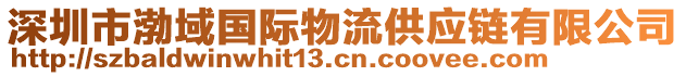 深圳市渤域國際物流供應鏈有限公司