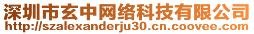 深圳市玄中网络科技有限公司