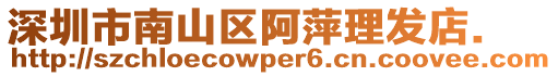 深圳市南山區(qū)阿萍理發(fā)店.