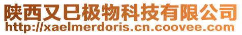 陜西又巳極物科技有限公司