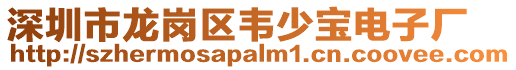 深圳市龍崗區(qū)韋少寶電子廠