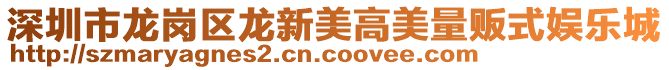 深圳市龍崗區(qū)龍新美高美量販式娛樂城