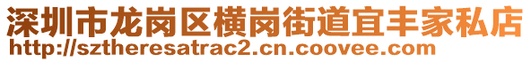 深圳市龍崗區(qū)橫崗街道宜豐家私店