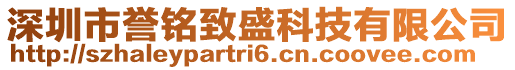 深圳市譽(yù)銘致盛科技有限公司