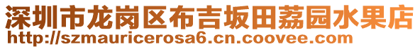 深圳市龍崗區(qū)布吉坂田荔園水果店