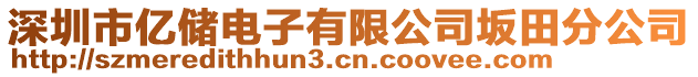 深圳市億儲電子有限公司坂田分公司