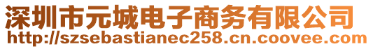 深圳市元城電子商務(wù)有限公司