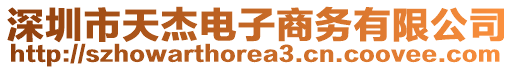 深圳市天杰電子商務有限公司