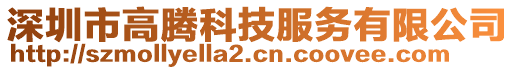 深圳市高騰科技服務(wù)有限公司