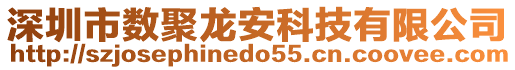 深圳市數(shù)聚龍安科技有限公司