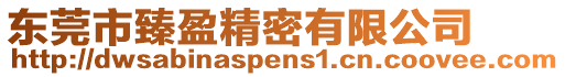 東莞市臻盈精密有限公司