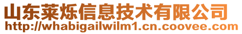 山東萊爍信息技術(shù)有限公司