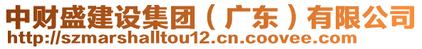 中財(cái)盛建設(shè)集團(tuán)（廣東）有限公司