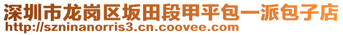 深圳市龍崗區(qū)坂田段甲平包一派包子店