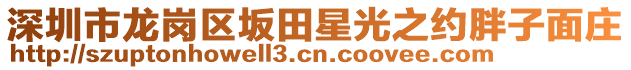 深圳市龍崗區(qū)坂田星光之約胖子面莊