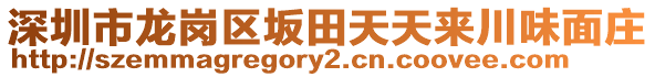 深圳市龍崗區(qū)坂田天天來川味面莊