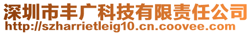 深圳市豐廣科技有限責(zé)任公司