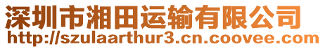 深圳市湘田運輸有限公司