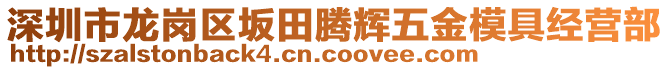 深圳市龍崗區(qū)坂田騰輝五金模具經(jīng)營(yíng)部